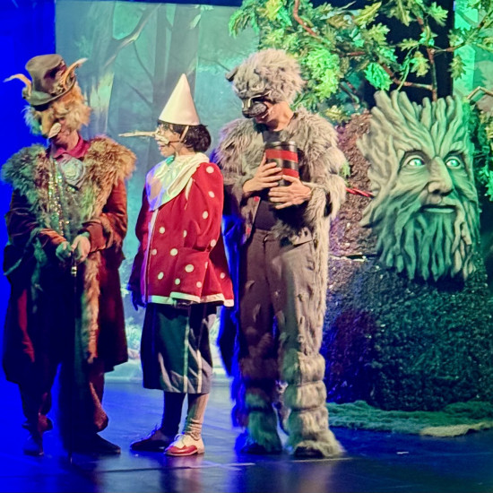 Spektakl muzyczny "PINOKIO"