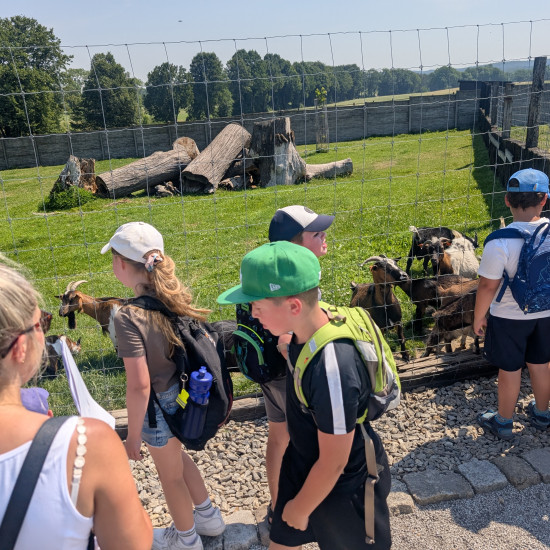 AKCJA LATO 2026 - Park Atrakcji w Wilkowicach