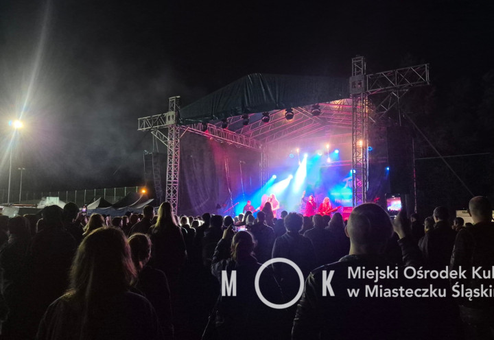 Festiwal &#34;Ślonskie Larmo&#34;