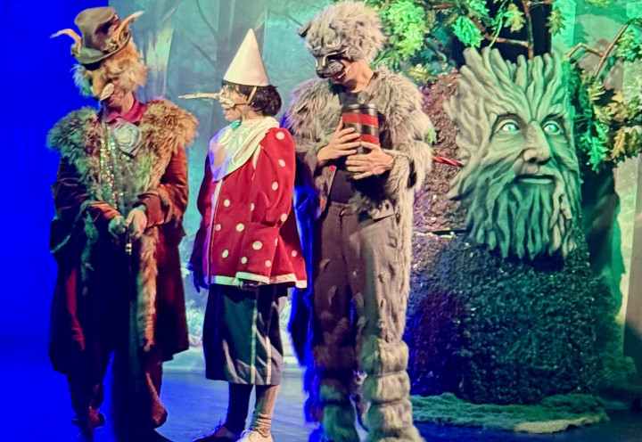 Spektakl muzyczny "PINOKIO"